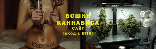 apvp Арсеньев
