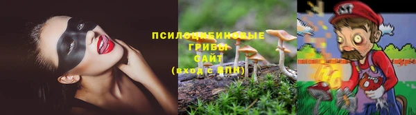 apvp Арсеньев
