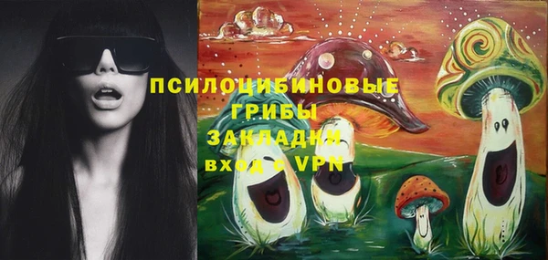 apvp Арсеньев