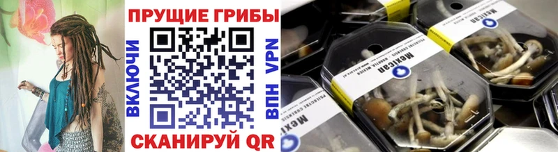 Галлюциногенные грибы прущие грибы Междуреченск
